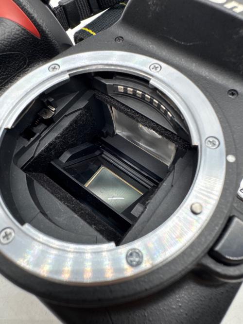 Nikon (ニコン) デジタル一眼レフカメラ D60