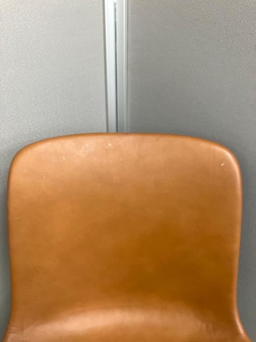 Fritz Hansen (フリッツハンセン) ダイニングチェアー ブラウン PK9