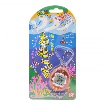 海で発見!!たまごっち