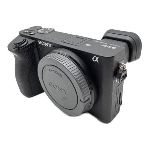 SONY (ソニー) ミラーレスカメラ α6500 ILCE-6500 レンズE 18-200mm F3.5-6.3 OSS LE付