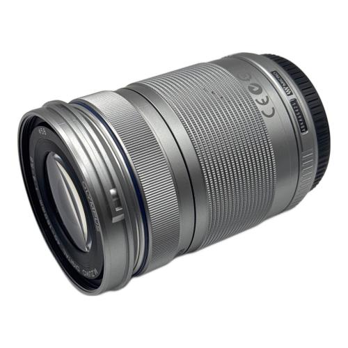 OLYMPUS (オリンパス) ミラーレス一眼カメラ E-PL5 ダブルズームキット 手振れ補正エラー
