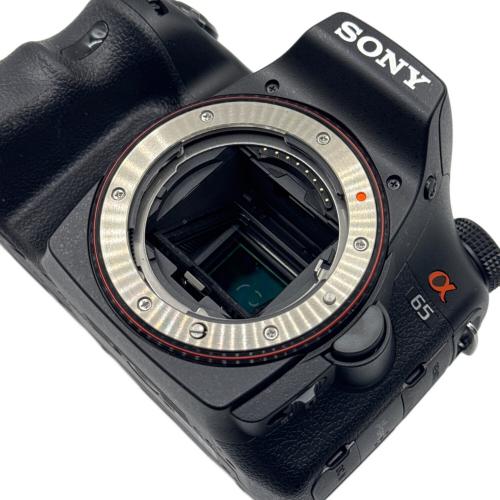 SONY (ソニー) デジタル一眼レフカメラ α65 ダブルズームレンズキット