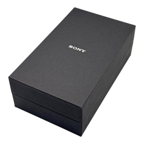 SONY (ソニー) WALKMAN NW-ZX300 64GB