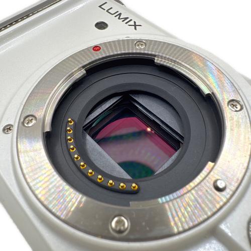 Panasonic (パナソニック) ミラーレス一眼カメラ DMC-GF1 H-H020付
