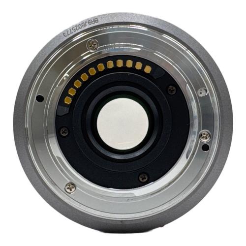 Panasonic (パナソニック) ミラーレス一眼カメラ DMC-GF1 H-H020付