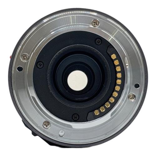 Panasonic (パナソニック) ミラーレス一眼カメラ DMC-GF1 H-H020付