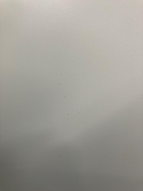 TOSHIBA (トウシバ) 6ドア冷蔵庫 GR-V510FH 2023年製 509L