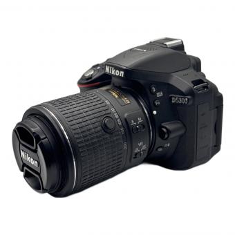 Nikon (ニコン) デジタル一眼レフカメラ D5300