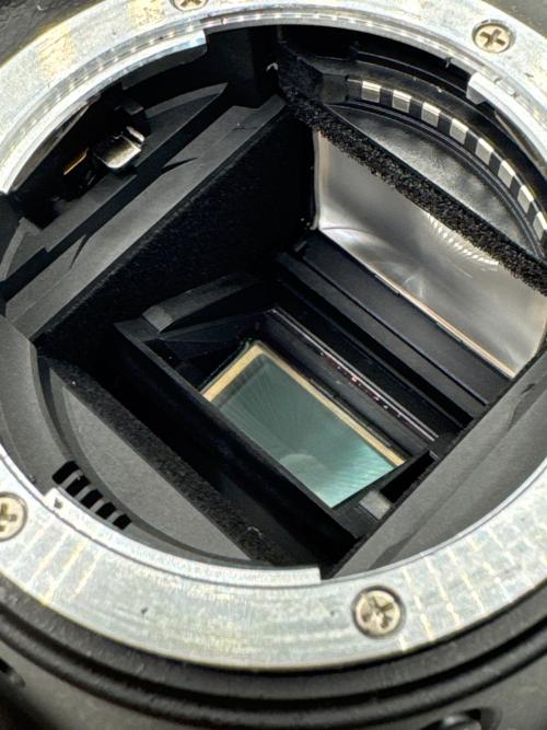 Nikon (ニコン) デジタル一眼レフカメラ D5300