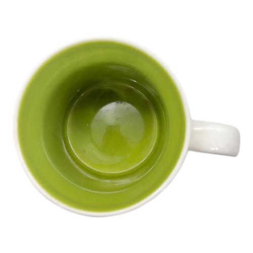 STARBUCKS COFFEE (スターバックス コーヒー) マグカップ アラスカ