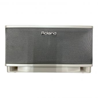 ROLAND (ローランド) モニターアンプ CUBE LITE MONITOR