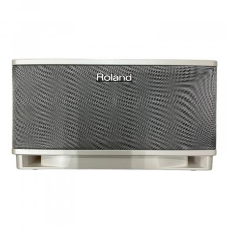 ROLAND (ローランド) モニターアンプ CUBE LITE MONITOR｜トレファクONLINE