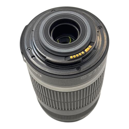 CANON (キヤノン) ズームレンズ EF-S55-250mm F4-5.6 IS STM