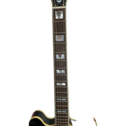 EPIPHONE (エピフォン)  Sheraton II pro 2022年製