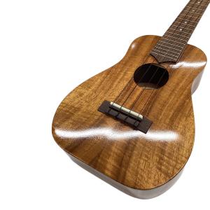 TRUTH (トゥルース) コンサートウクレレ TAC-15 Akio Custom 769