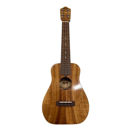 TRUTH (トゥルース) コンサートウクレレ TAC-15 Akio Custom 769