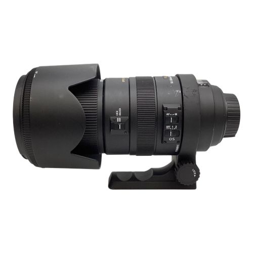 ズームレンズ APO 50-500mm F4.5-6.3 DG OS HSM ニコンFマウント