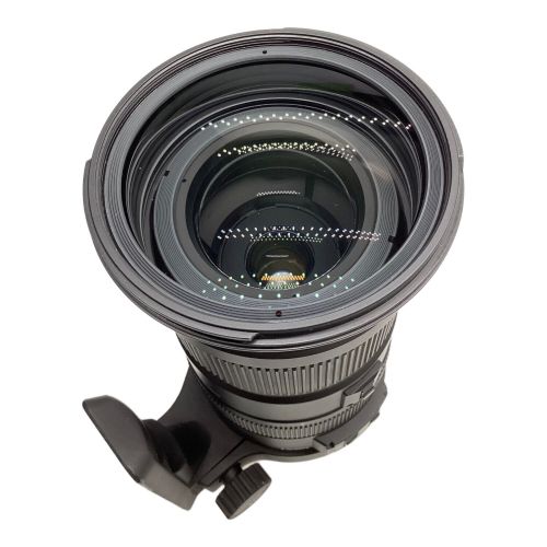 ズームレンズ APO 50-500mm F4.5-6.3 DG OS HSM ニコンFマウント