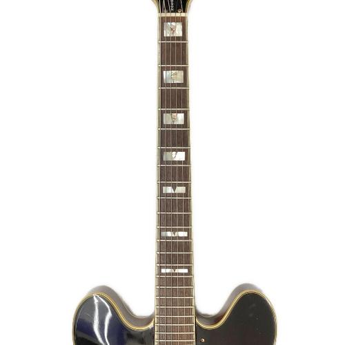 EPIPHONE (エピフォン) Sheraton II 1995年製
