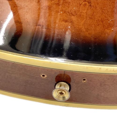 EPIPHONE (エピフォン) Sheraton II 1995年製