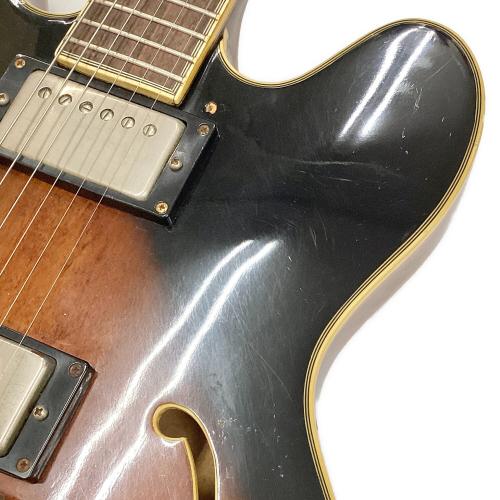 EPIPHONE (エピフォン) Sheraton II 1995年製