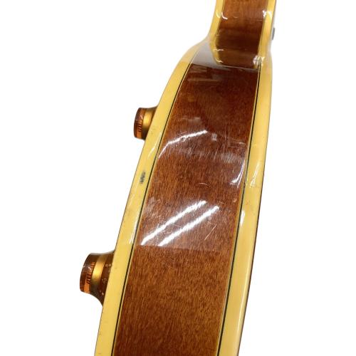 EPIPHONE (エピフォン) Sheraton II 1995年製