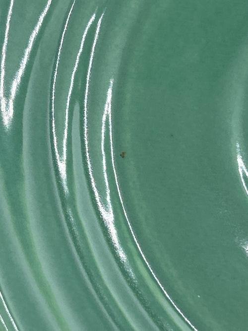 BAUER POTTERY (バウアーポッタリー) カップ&ソーサー