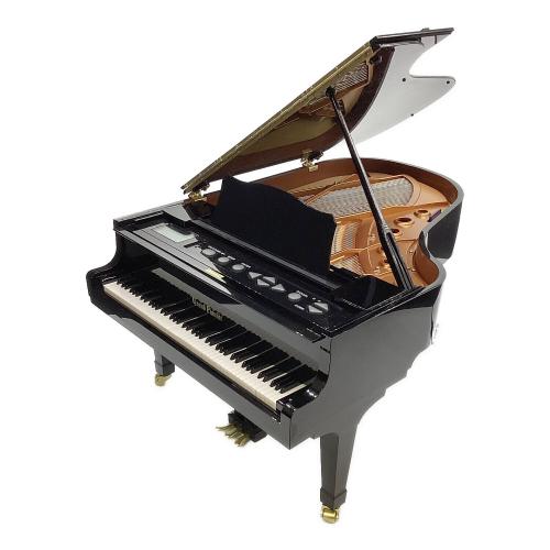 グランドピアニスト