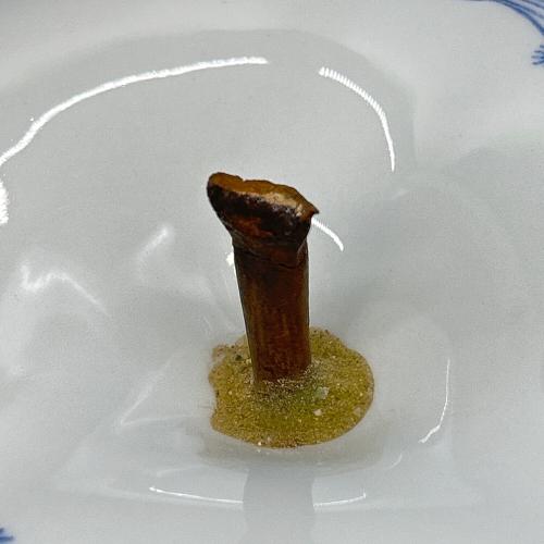 Royal Delft (ロイヤル・デルフト) 置物 ROYAL BLUE COLLECTION