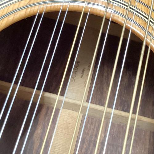 12弦アコースティックギター YD-302-12