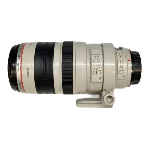 ズームレンズ EF 100-400mm F4.5-5.6 L IS