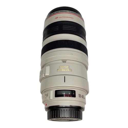 ズームレンズ EF 100-400mm F4.5-5.6 L IS
