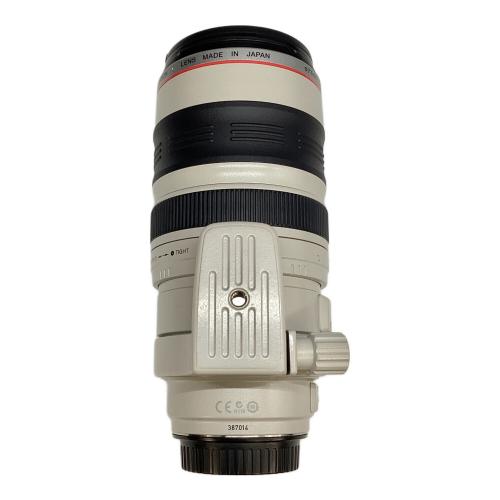 ズームレンズ EF 100-400mm F4.5-5.6 L IS