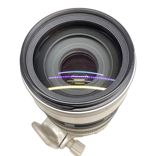 ズームレンズ EF 100-400mm F4.5-5.6 L IS