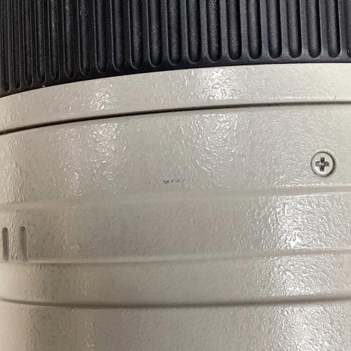 ズームレンズ EF 100-400mm F4.5-5.6 L IS