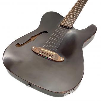 SCHECTER (シェクター) OL-FL/STBK