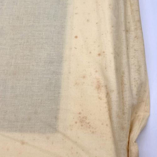 五百住乙人（イオズミキノト）「文鳥」リトグラフ 額装