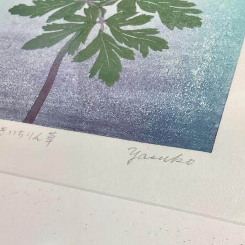 木版 額装 大西靖子 「きくざきいちりん草」