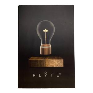 フライトライト BUCKMINSTER MANHATTAN V2.1