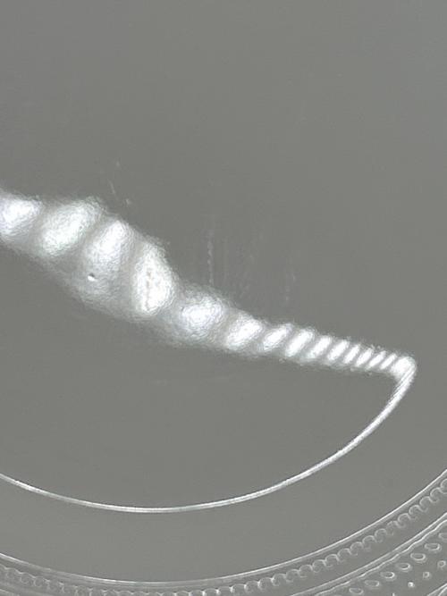 Wedgwood (ウェッジウッド) プレート インタグリオ 大×2小×2セット