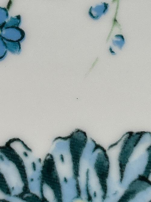 Wedgwood (ウェッジウッド) プレート 2Pセット 17cm ジャスパーコンラン