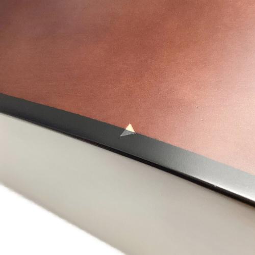 K.Yairi (ヤイリギター) YFP-02 DMS