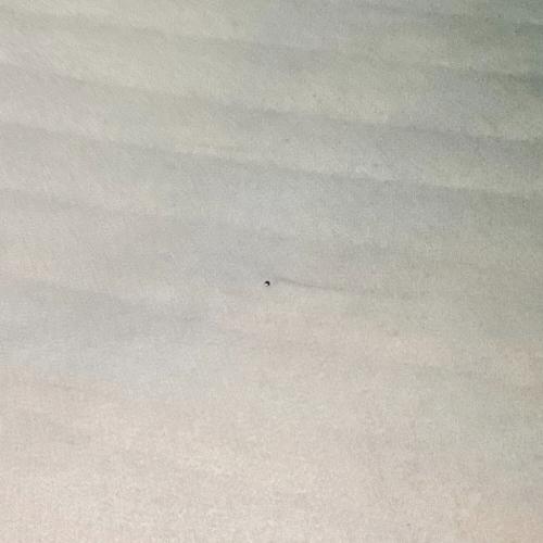 Warwick (ワーウィック) RockBass Streamer LX 4-string 4-string electric bass エレキベース 中国