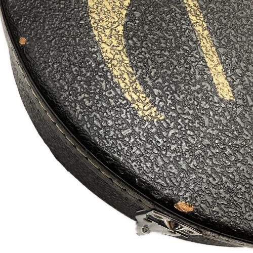 EPIPHONE (エピフォン) セミアコ エレキギター DOT NAT 2001年製