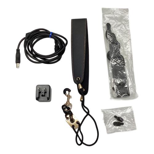 ウインドシンセサイザー EWI SOLO