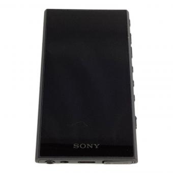 WALKMAN NW-A307 64GB