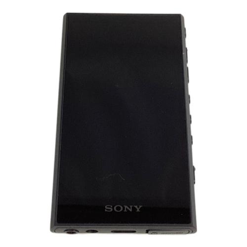 WALKMAN NW-A307 64GB