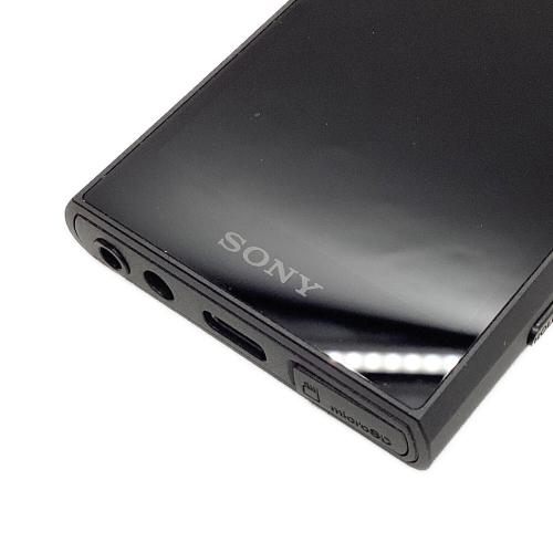 WALKMAN NW-A307 64GB