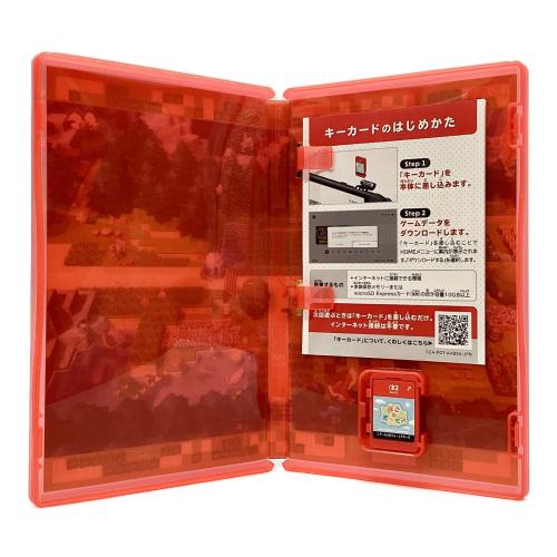 Nintendo Switch2用ソフト ぽこ あ ポケモン