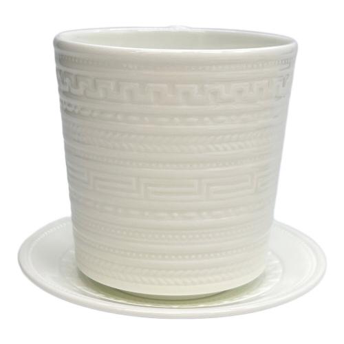 Wedgwood (ウェッジウッド) カップ&ソーサー・プレートセット インタグリオ 各2Pセット